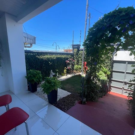 Alicia'S Place 10 Min From Airport Appartement Alajuela Buitenkant foto